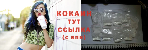 ГАЛЛЮЦИНОГЕННЫЕ ГРИБЫ Покров