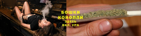 молекула духа Покровск