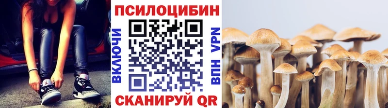 Псилоцибиновые грибы Cubensis  Холмск 